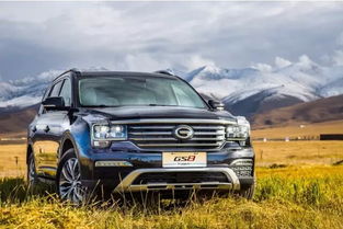 東莞市祺鑫汽車銷售服務(wù) 專業(yè)與信賴的汽車銷售伙伴